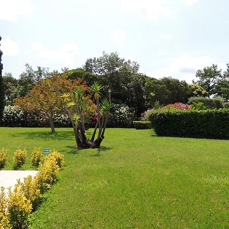 Ginkgo Studio - Piscine, Proche De La Mer, Golf, Wifi 망들리유 라 나플 외부 사진